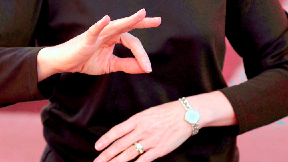 Cursuri de limbaj mimico-gestual 31362