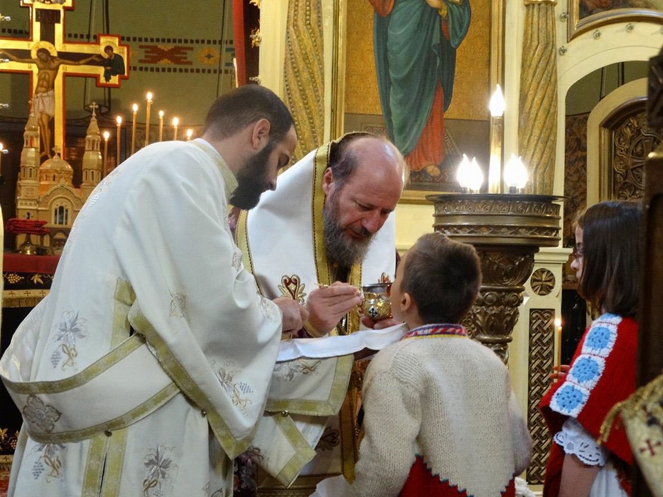 Slujiri arhierești în Mitropolia Banatului 31325