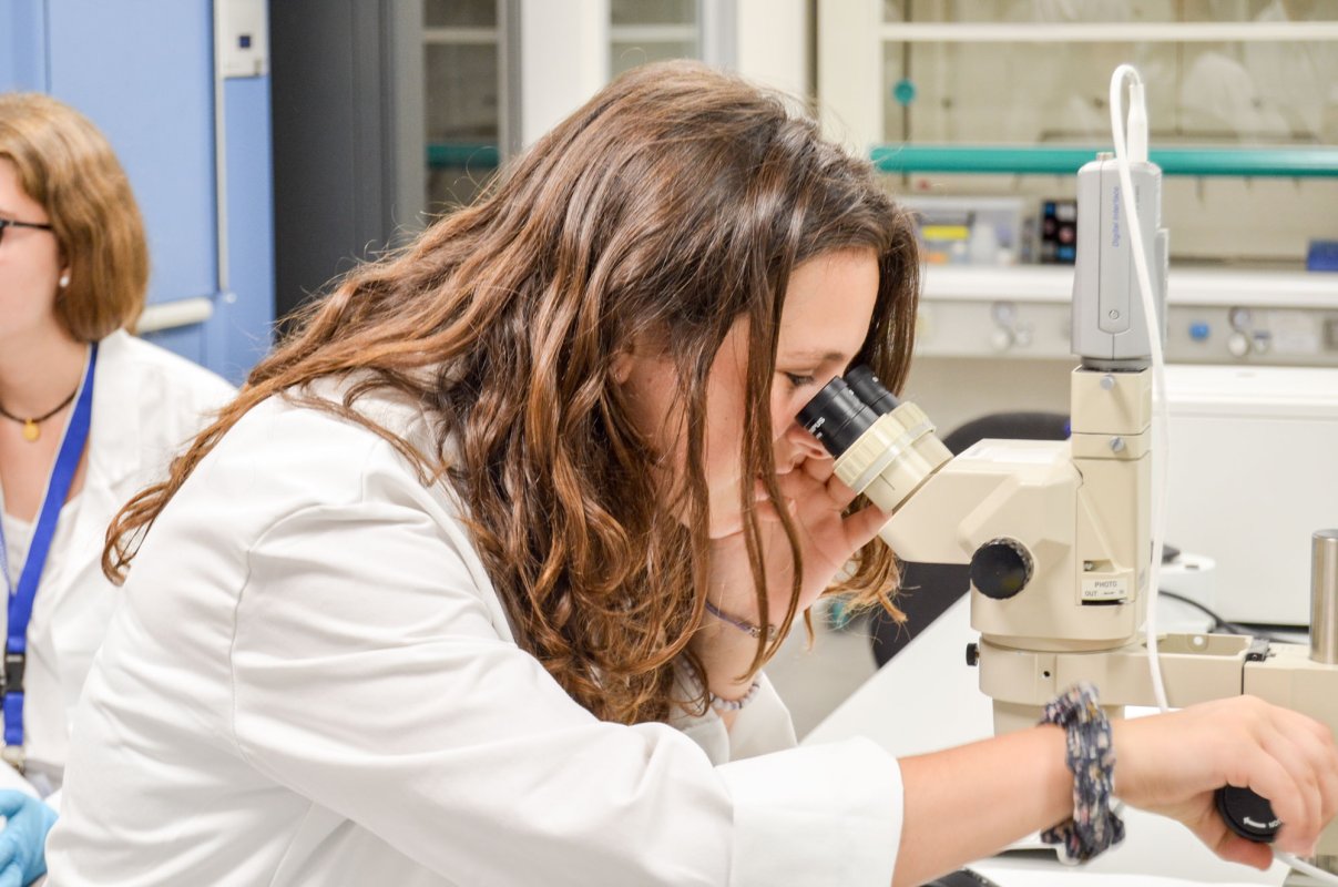 Criterii de evaluare pentru cele 214 școli doctorale 30514