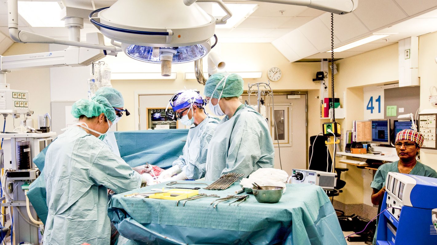 Biserica, şcoala, spitalul – instituţii care se completează, nu se opun 30439