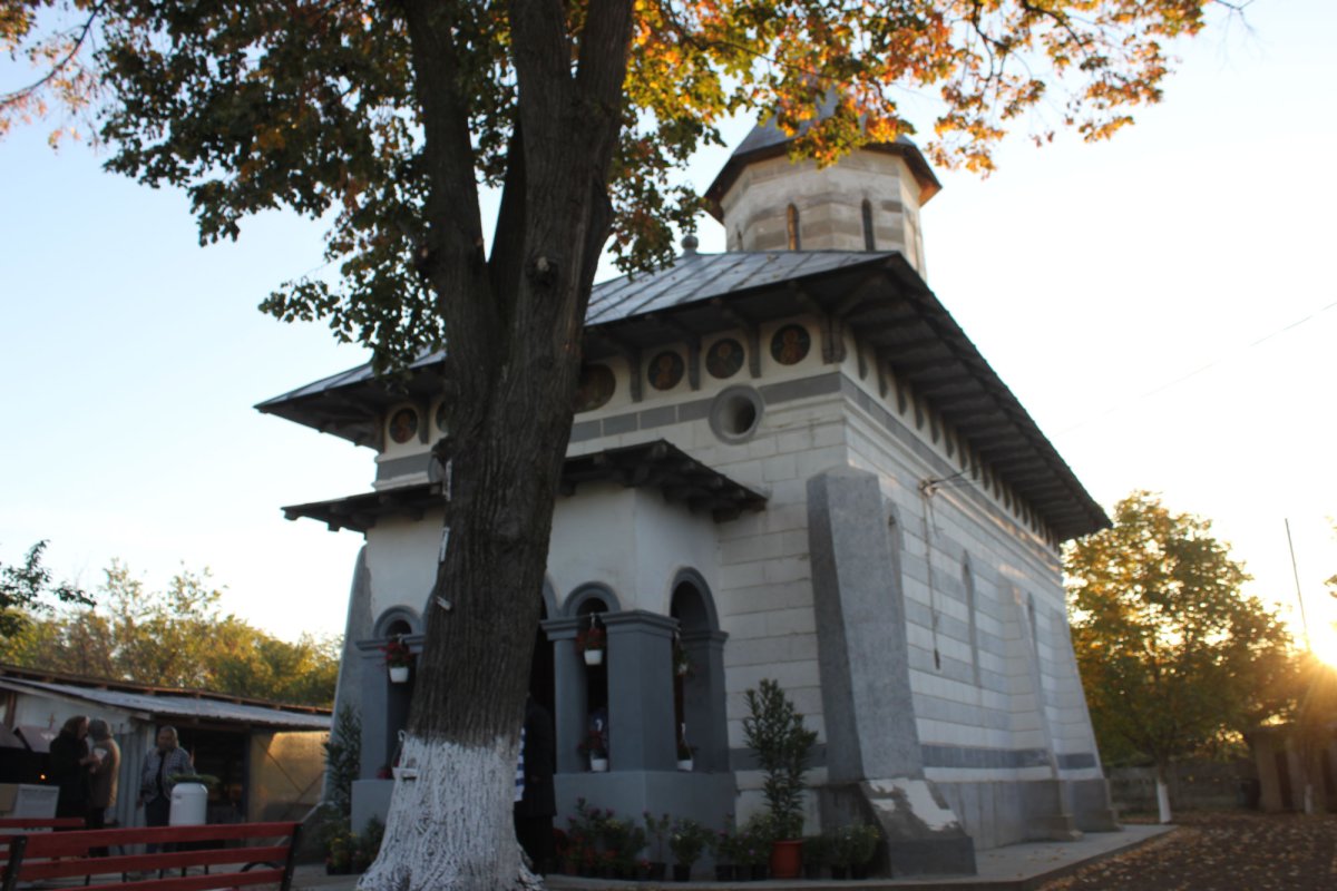 Duminica Semănătorului în Arhiepiscopia Craiovei 30080