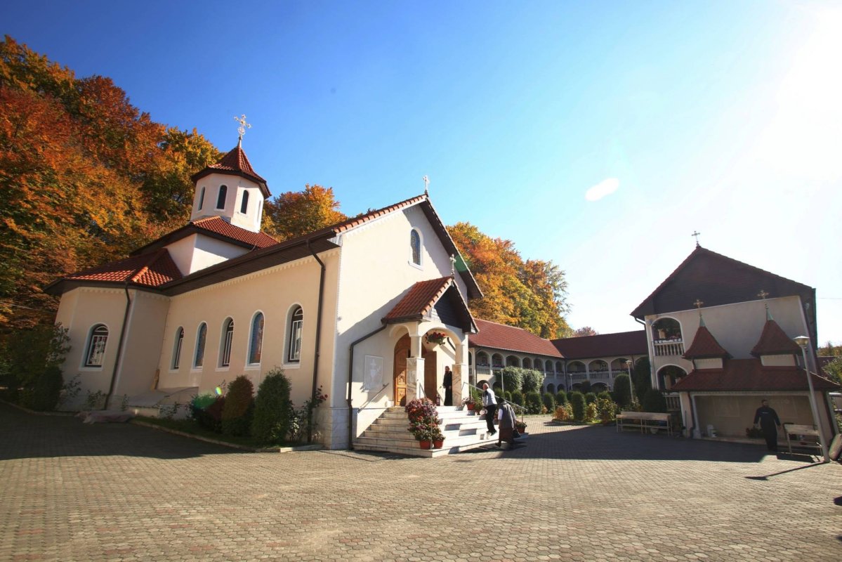 Cetatea Sfântului Dimitrie înălțată la Sighișoara 29821