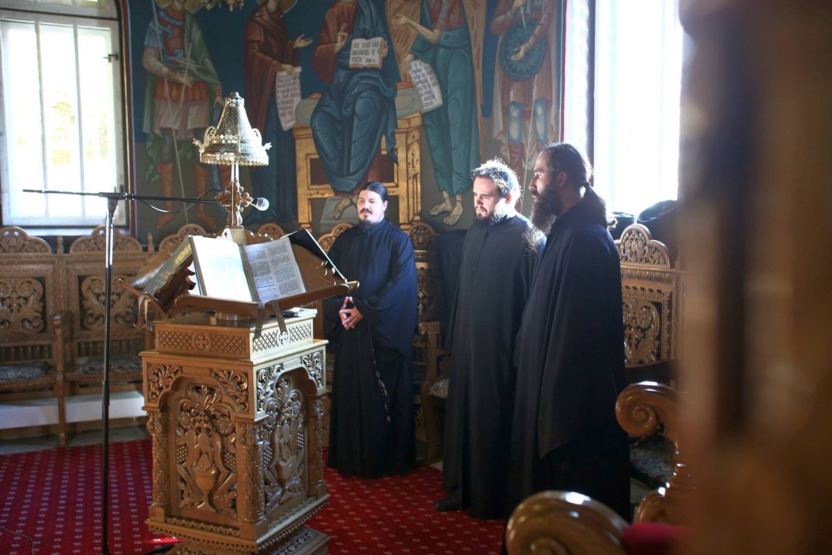 Cetatea Sfântului Dimitrie înălțată la Sighișoara 29825