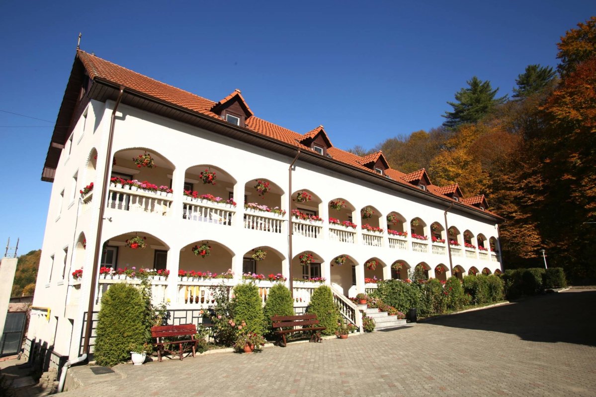 Cetatea Sfântului Dimitrie înălțată la Sighișoara 29828