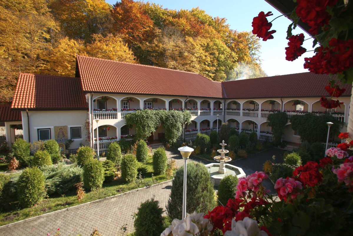 Cetatea Sfântului Dimitrie înălțată la Sighișoara 29829