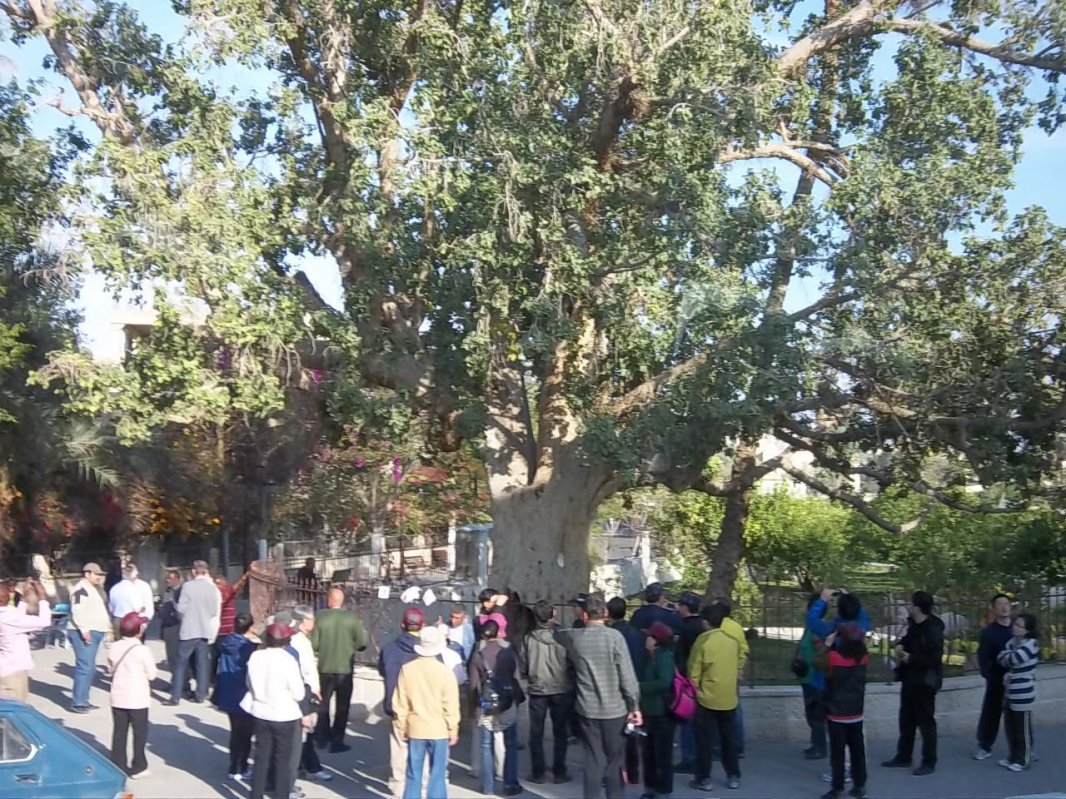 Ierusalimul - note de pelerinaj (VIII) 29374