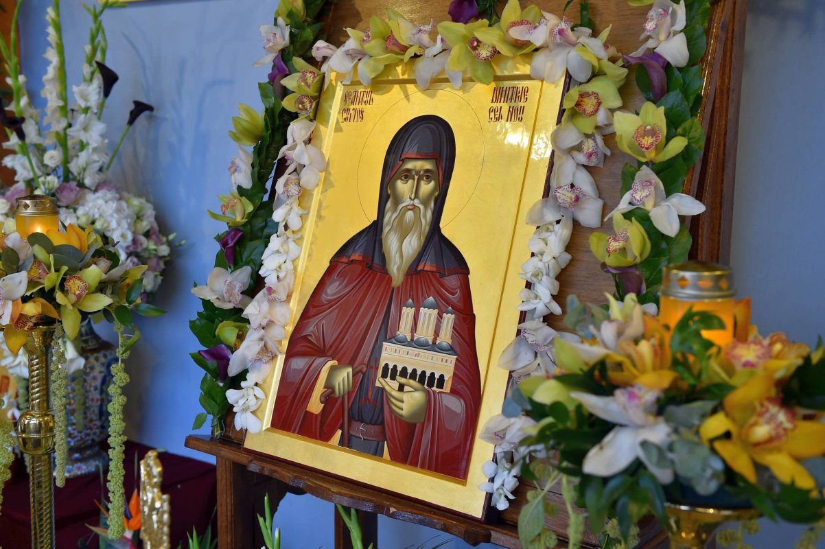 Prietenia Sfântului vindecă noianul căderilor noastre 29426