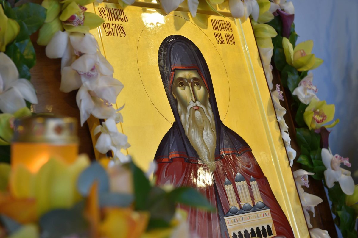 Prietenia Sfântului vindecă noianul căderilor noastre 29427