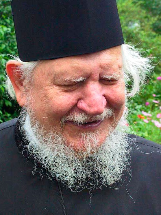 Opt ani de la trecerea în veșnicie a părintelui Teofil Părăian 29294