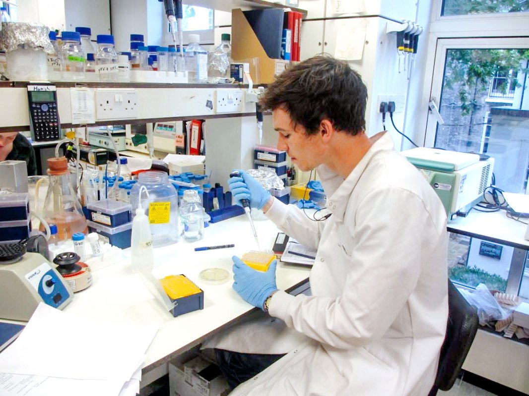 O lege mai permisivă şi stimulativă pentru cercetare 29292