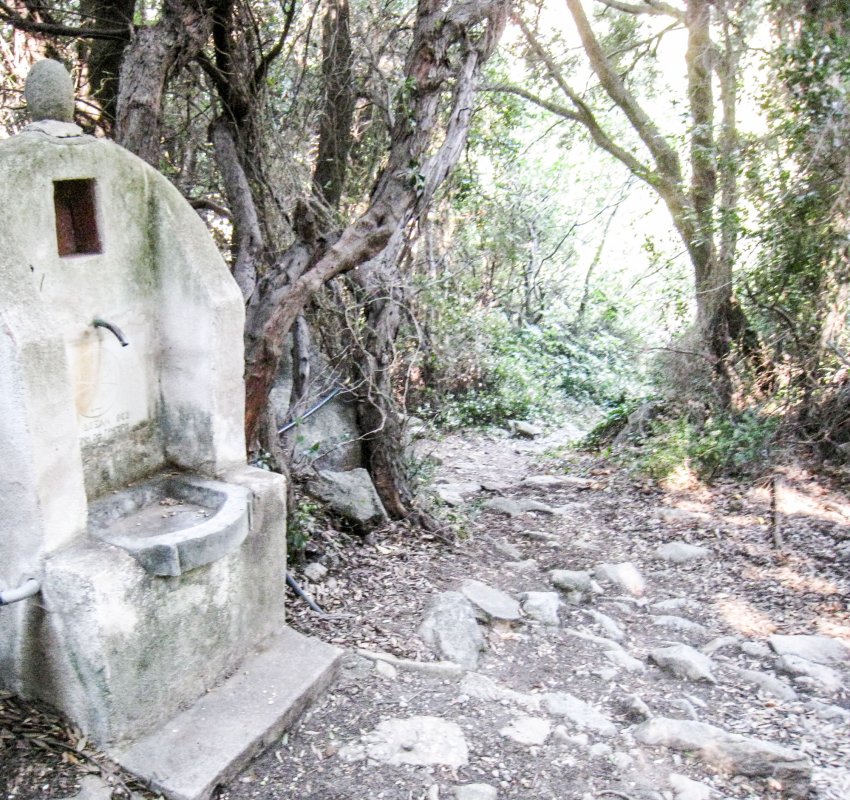 Asemănarea cu Dumnezeu la Macarie Egipteanul 29196