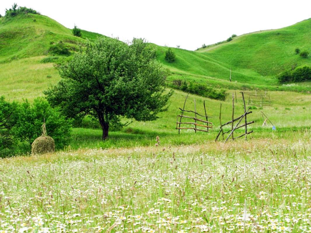 Program de 1 miliard de euro pentru zona montană 29080