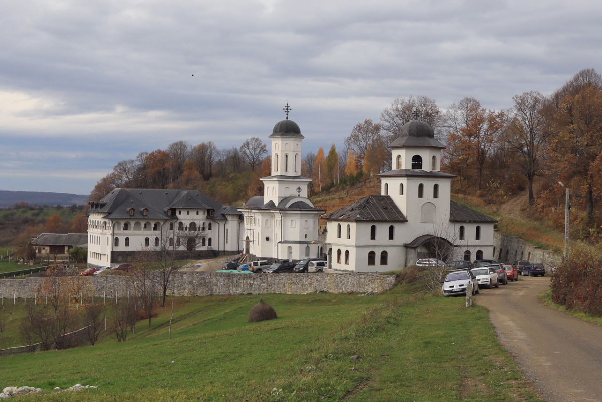 Sinaxa monahală din Episcopia Maramureşului şi Sătmarului 28293