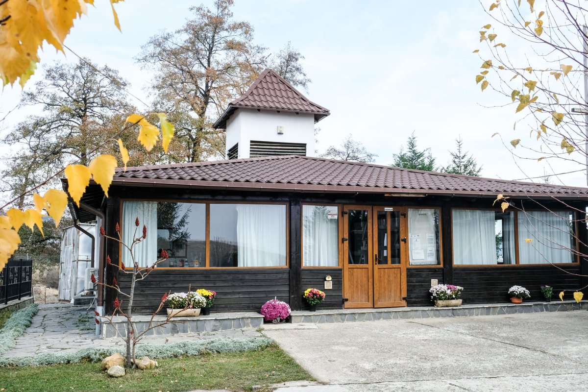 Grija pentru copii, lecție de trăire efectivă a credinței 28237