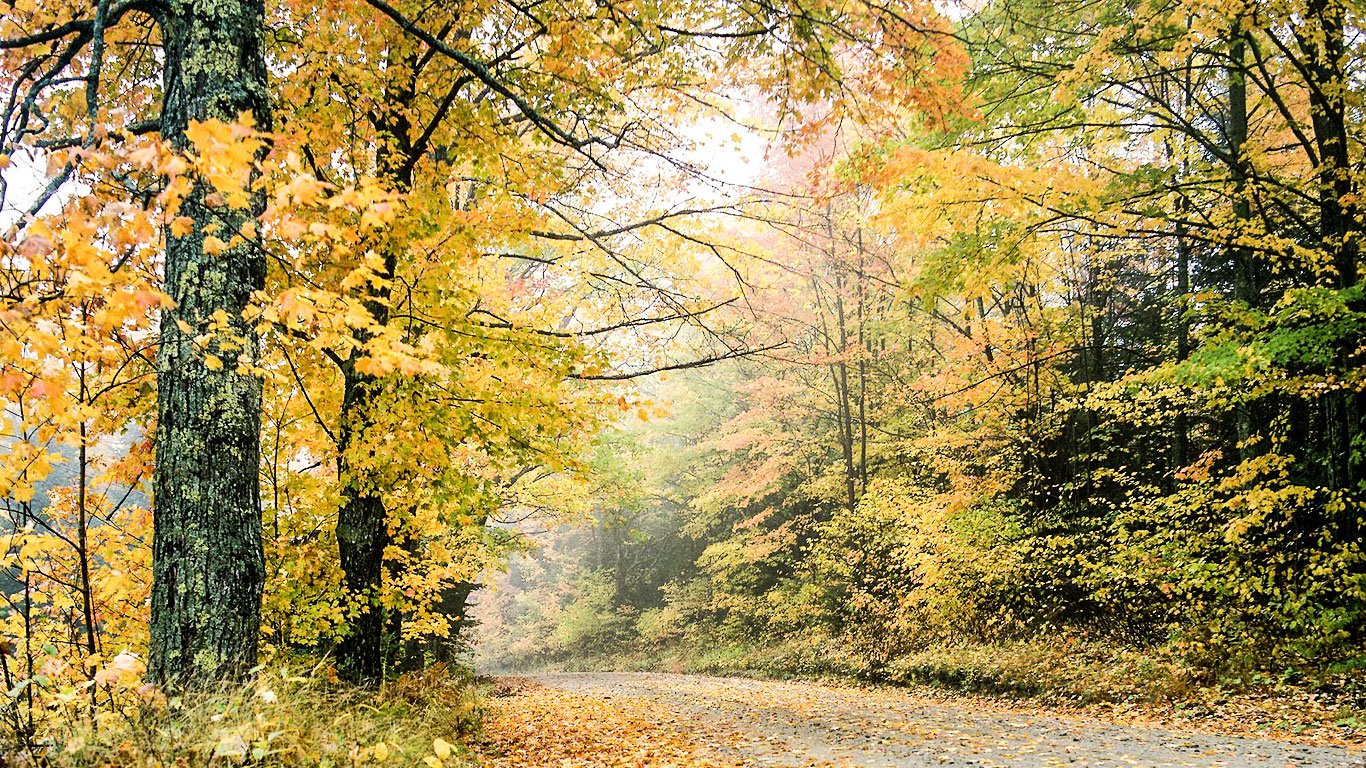 Vovidenia copilăriei mele 27941