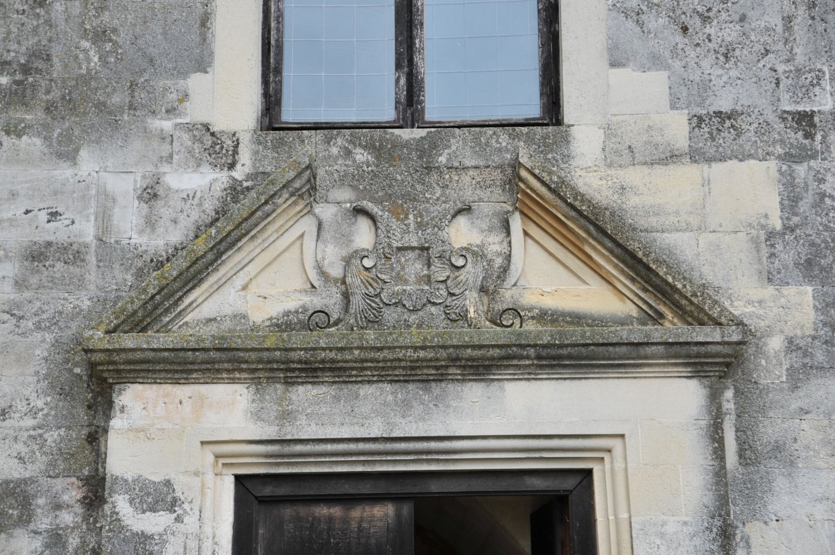 Ochi de zăpadă 27753