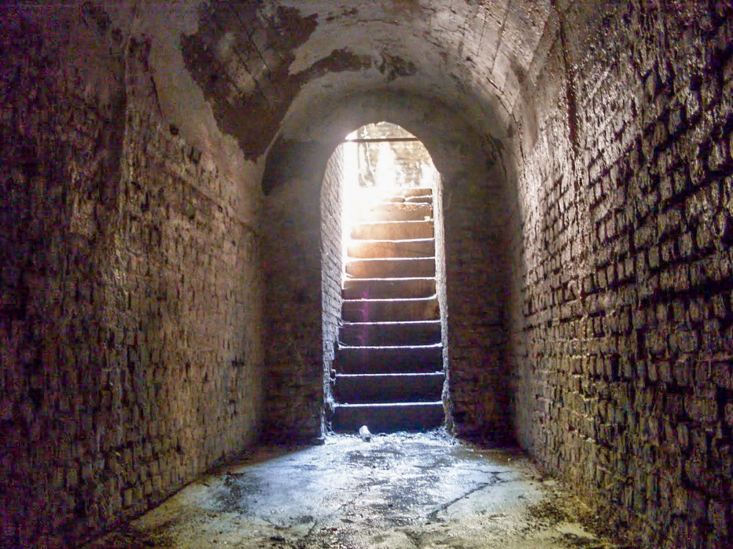 Modelul mărturisitorilor pentru contemporani 26884