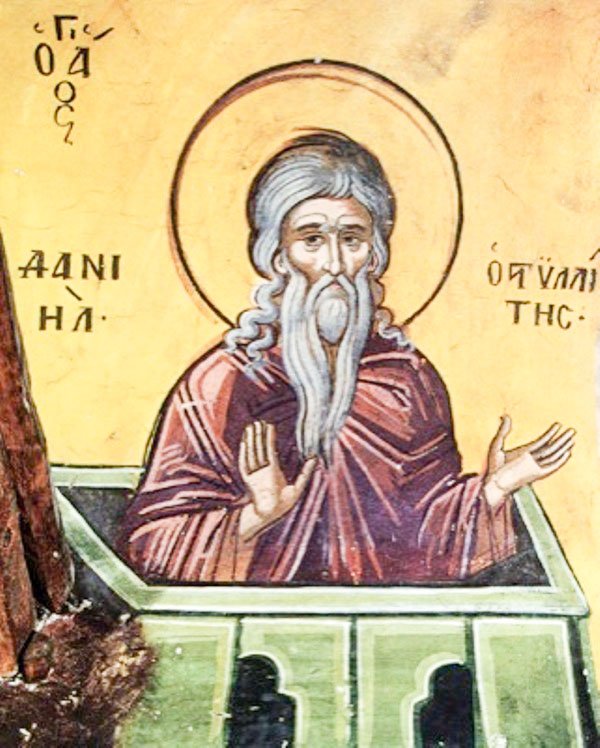 Sfântul Cuvios Daniil Stâlpnicul şi Luca cel Nou 26882