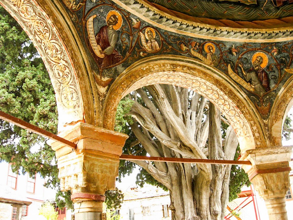 O judecată cu final neprevăzut 26745