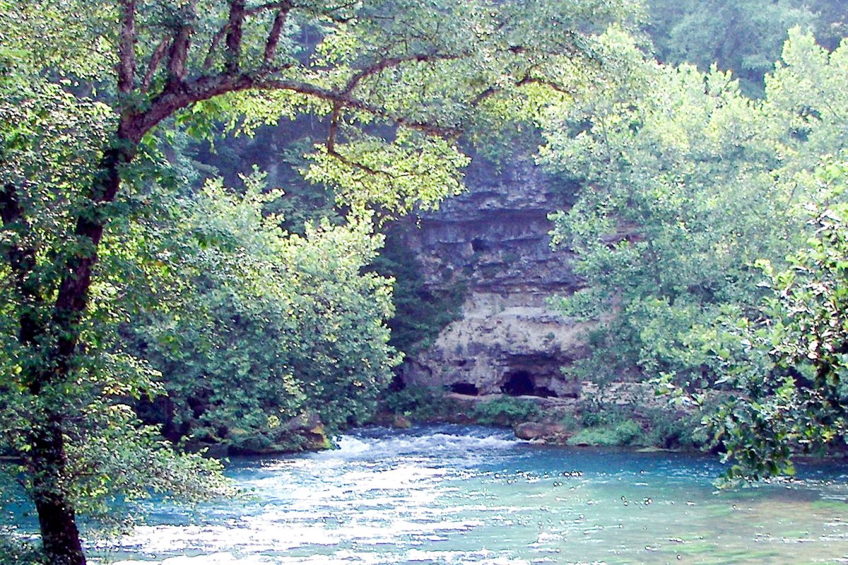 Seceriș de lacrimi 26602