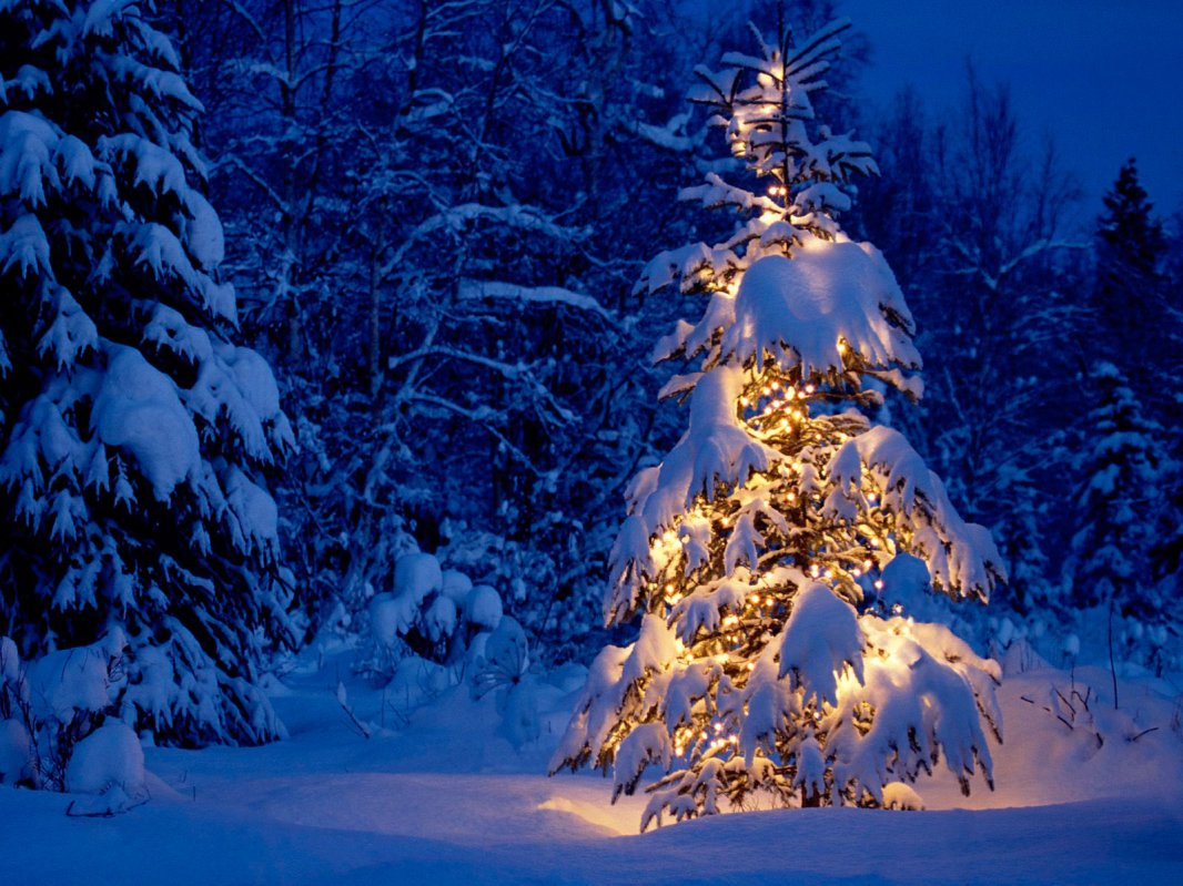 Sărbători în liniște sufletească 26238