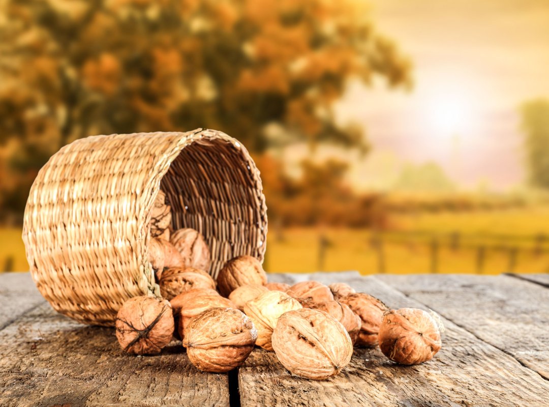 Cu străbunii la masa de Crăciun 26170