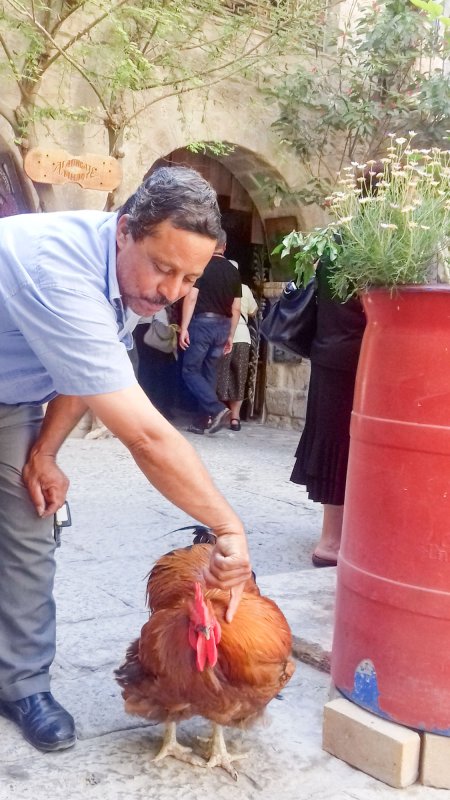 Ospitalitatea deșertului, Gherasim și leul înțelegător 25974