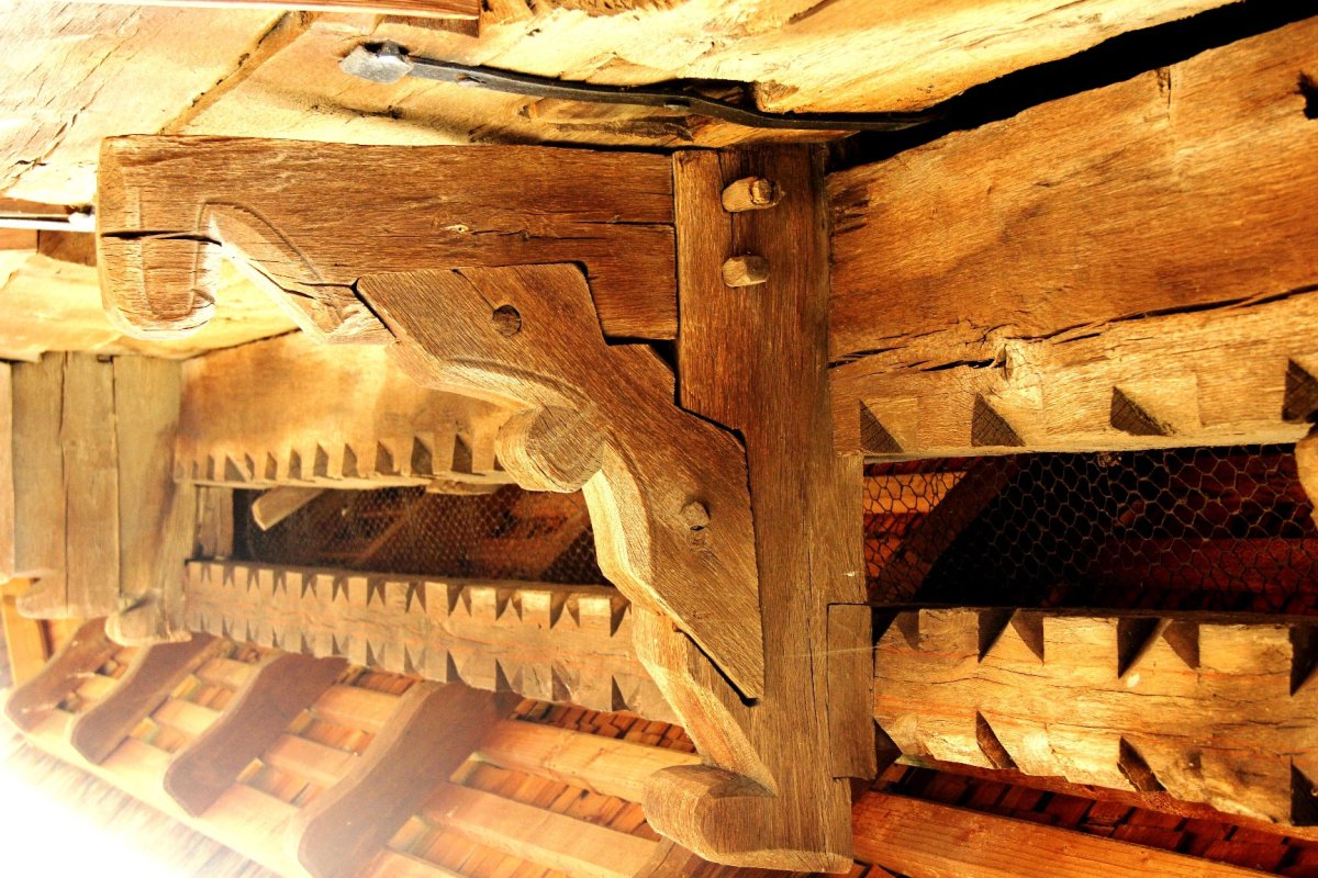 Biserica din Rogoz, coloana infinitului pe plaiuri maramureşene 25406