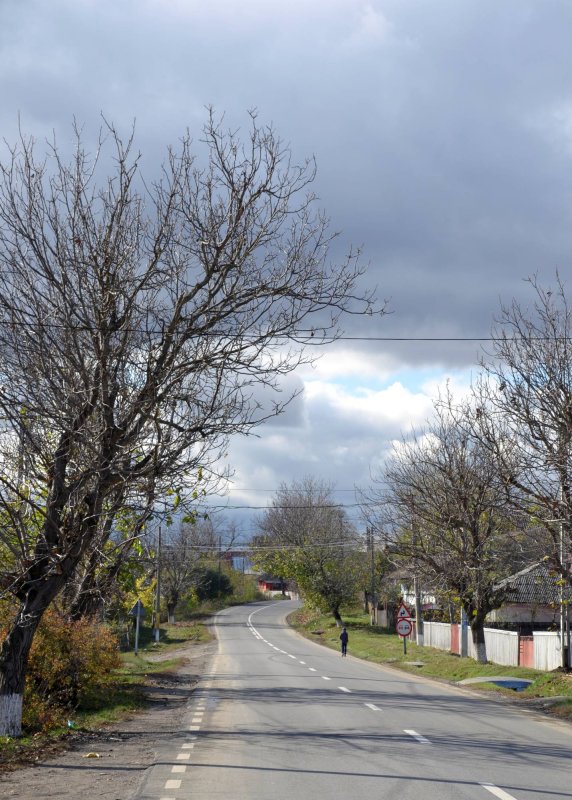 Povestea lui Neculai Spumă, supraviețuitor din prizonieratul rusesc 25303