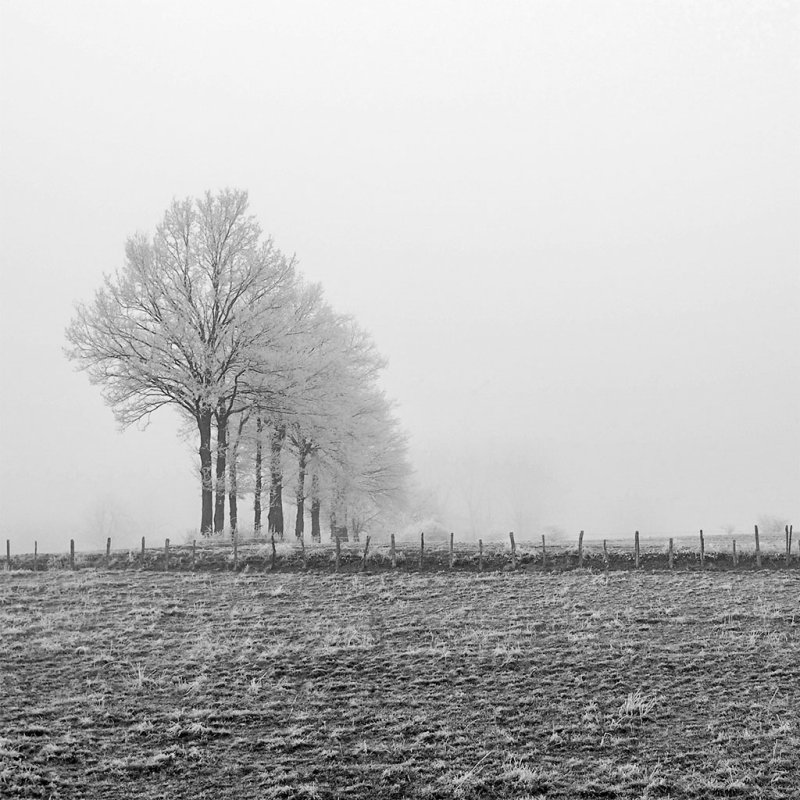 Repere pentru dialogul dintre teologie, filosofie şi ştiinţă 24882