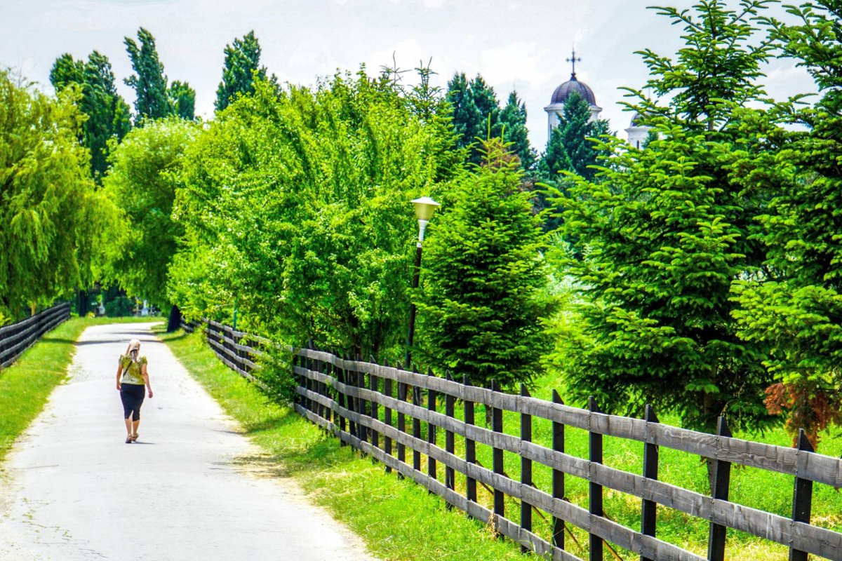 Pe drumul credinței 24305