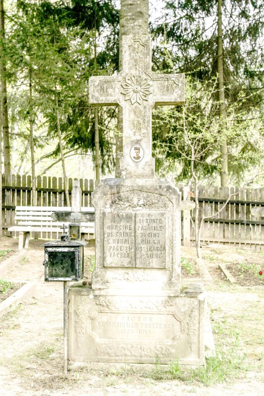 Un pictor pribeag, Ioan Irineu Protcenco (II) 24292