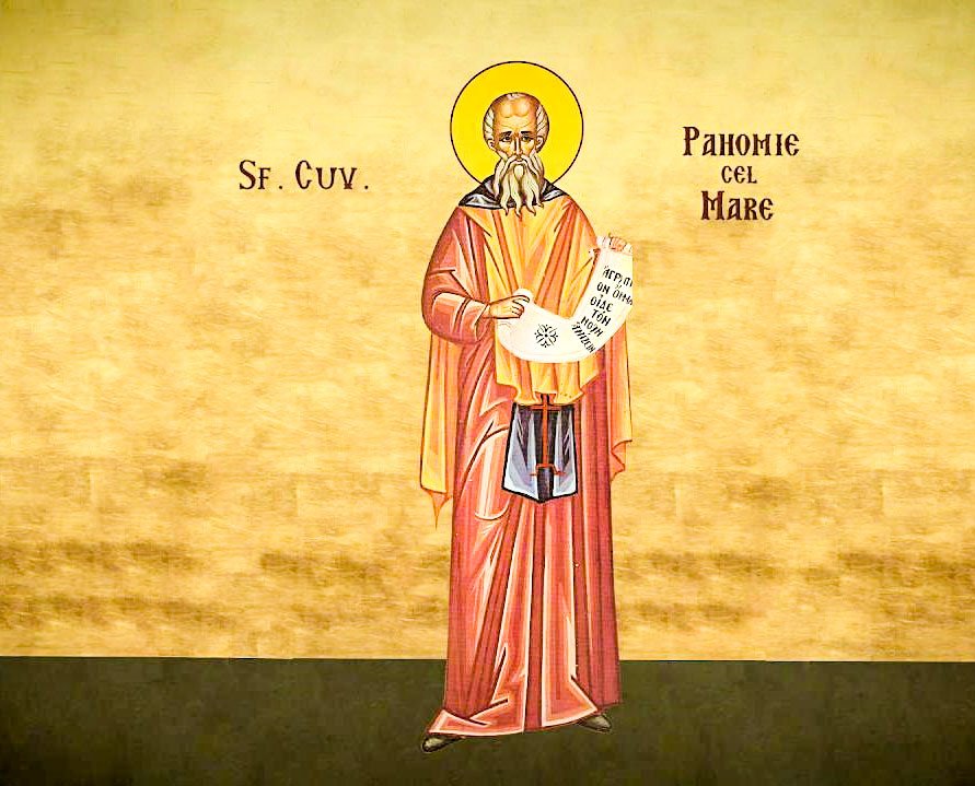 Înger în trup, podoaba nevoinţelor 24131