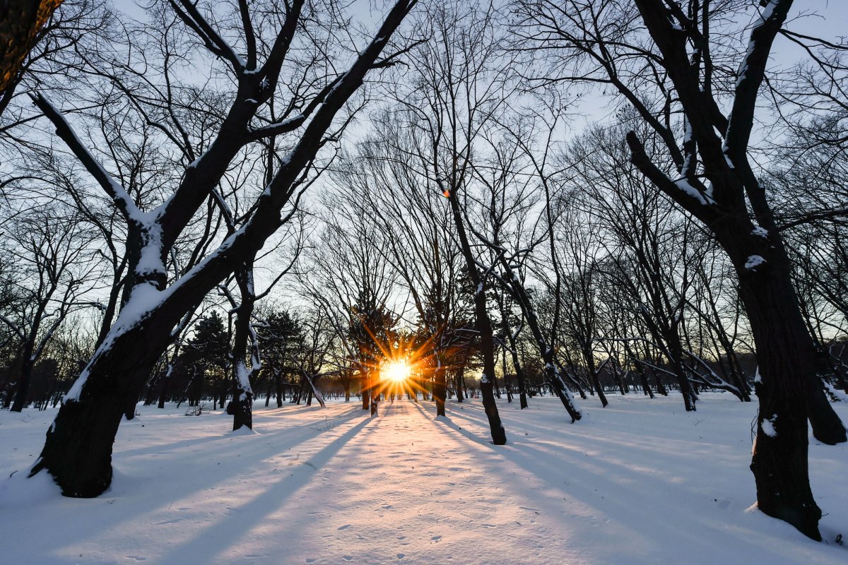 Medicul necredincios 24164