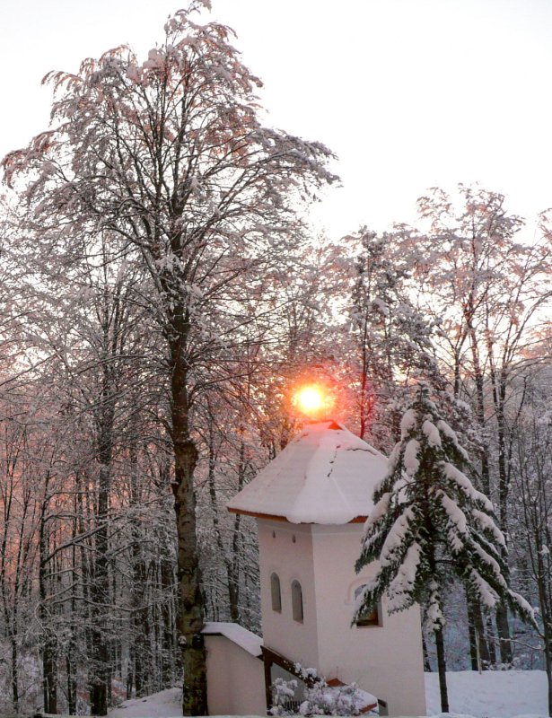 Medicul necredincios 24165