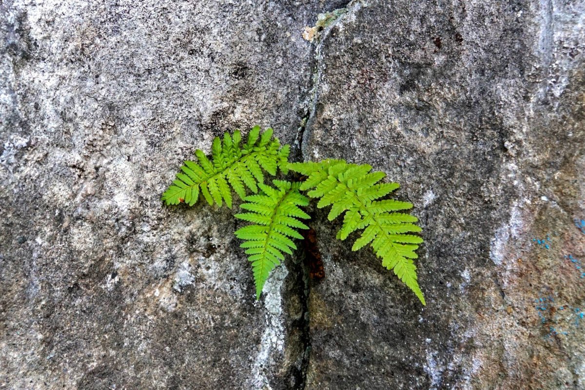 Păcate care fac să nu putem vedea nici ce e raiul, nici ce e iadul 24117