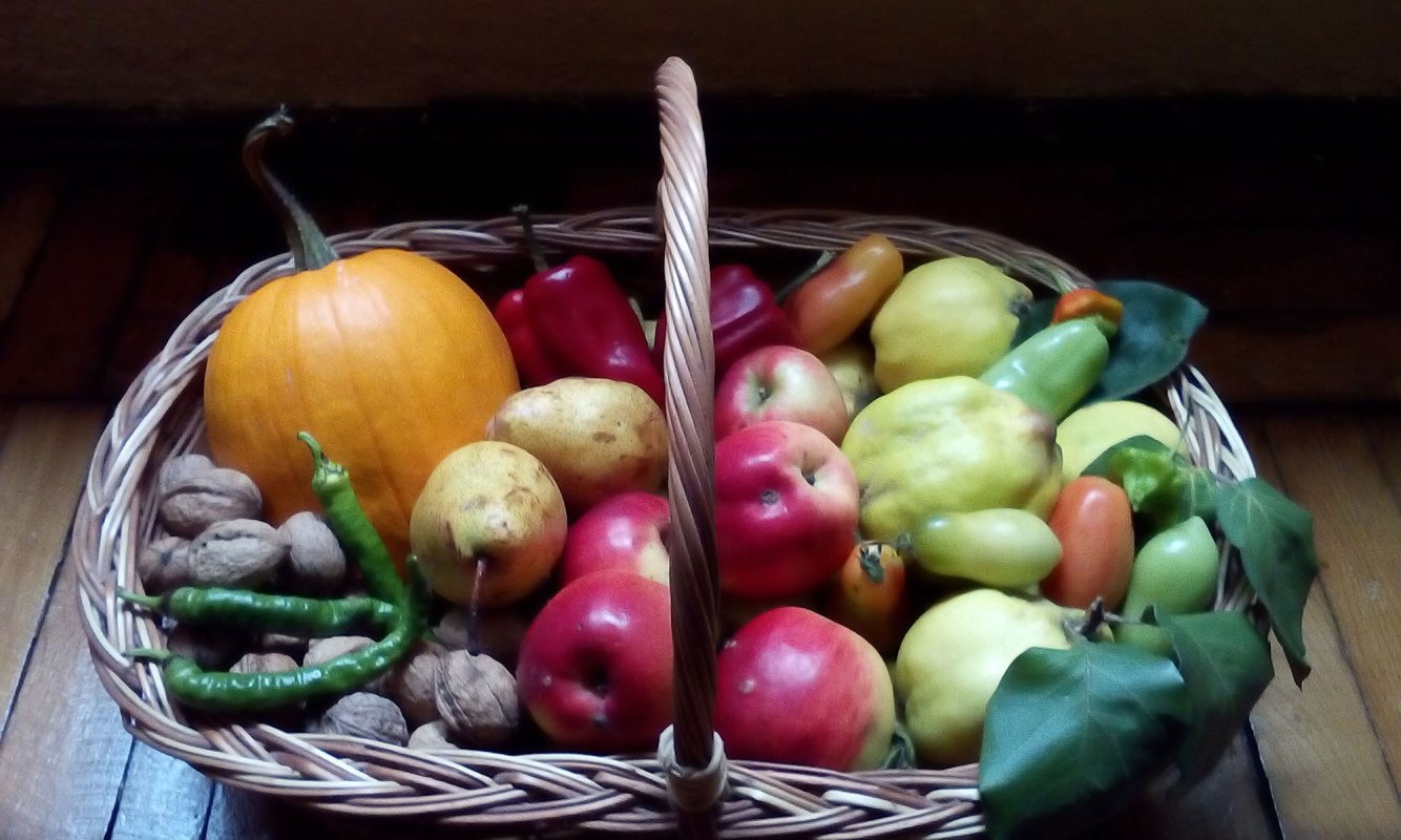 Alimentația corectă previne cancerele gastrice 24109