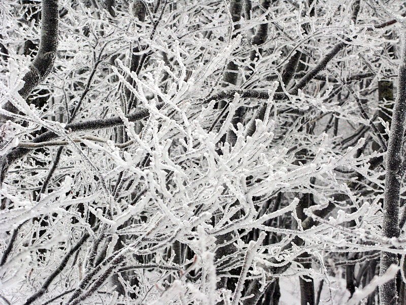 Mâini de zăpadă 23886