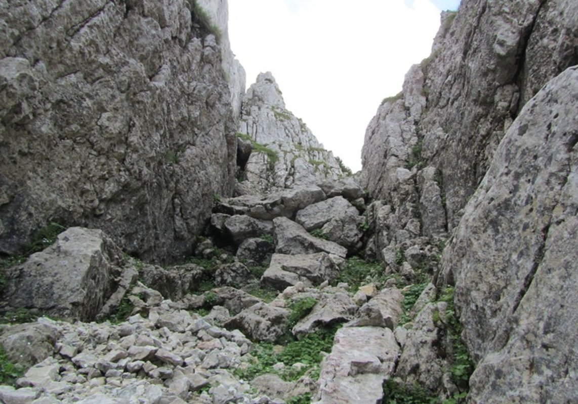 „Tu m-ai salvat!” 160610