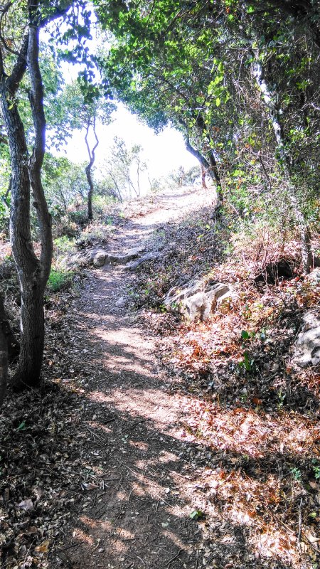 „Tu m-ai salvat!” 23793