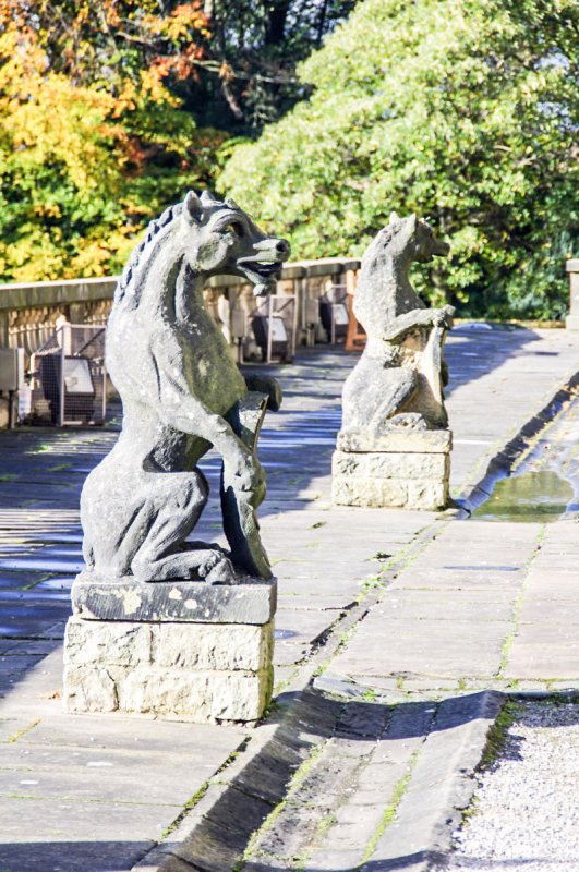 Provocarea emoțională a societății 23740