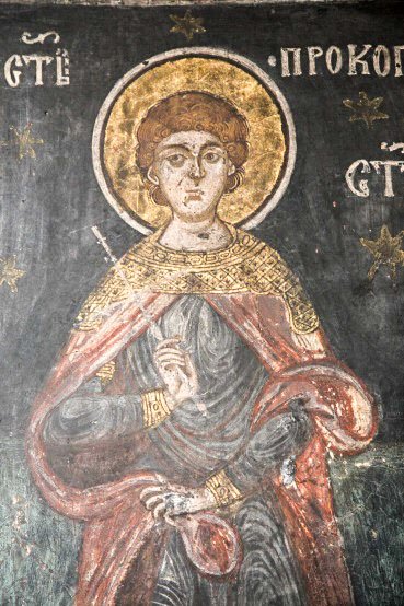 Ctitoria stareţului Partenie, în Târnava de Dolj 23463