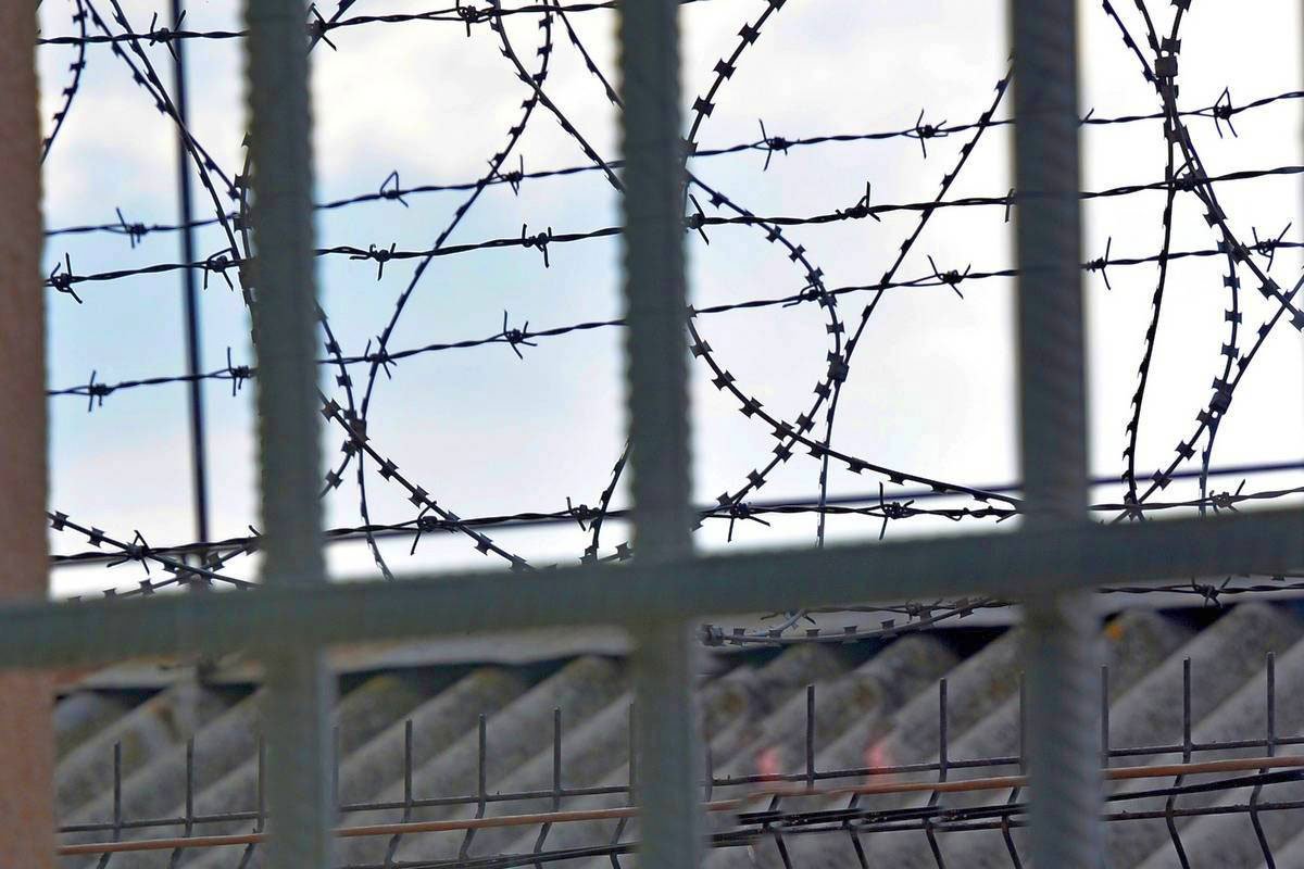 Libertatea de a întina? 23260