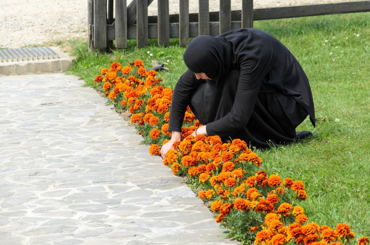 Motorul tainic al virtuţilor noastre 23144