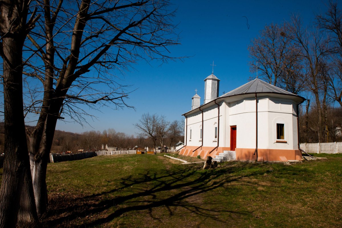 Darul Sfântului Ioan Botezătorul 23109
