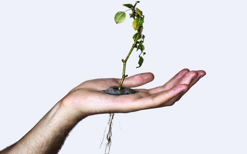 Cum cultivăm bunătatea? 117714