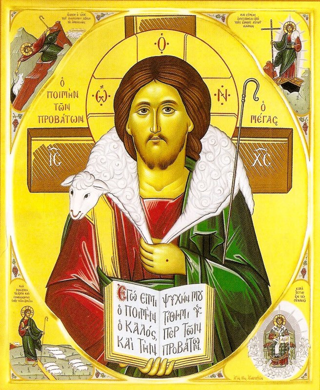 „Păstorul cel bun îşi pune viaţa pentru oile Sale” 22629