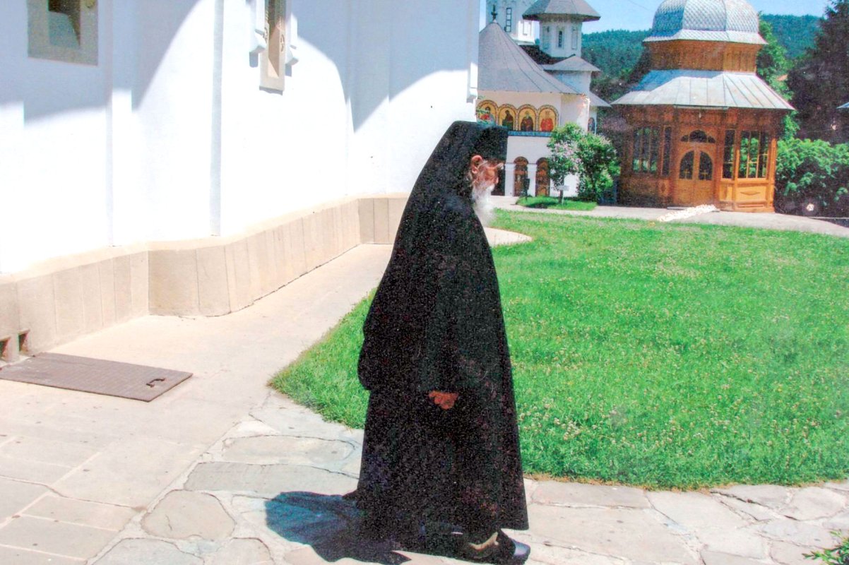 Liniștirea sau tămăduirea grabei 22604