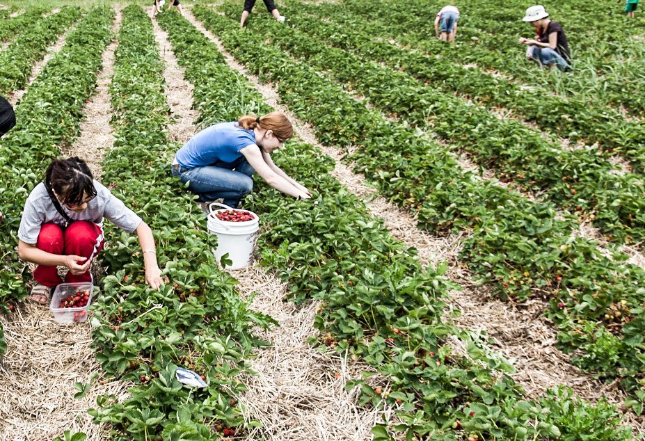 Jumătate din femeile de la ţară nu termină opt clase 22246