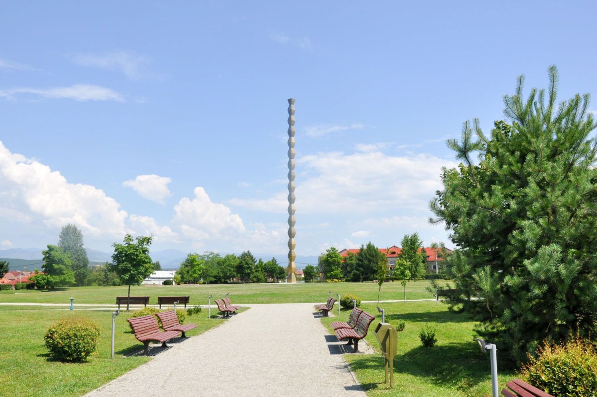 Omagiu sculptorului Constantin Brâncuşi 22127